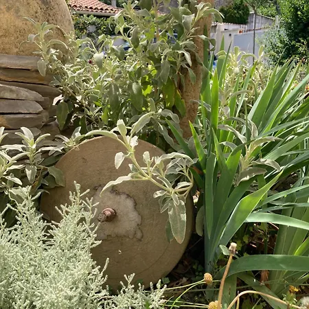 La Tarente * Montfrin